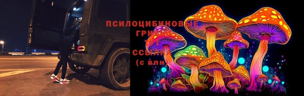 амф Алексин