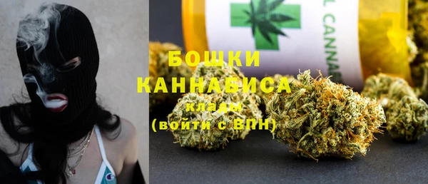 PSILOCYBIN Медвежьегорск