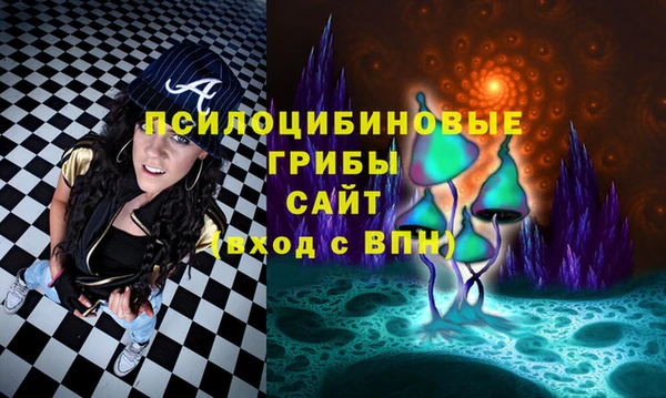 дмт Алексеевка