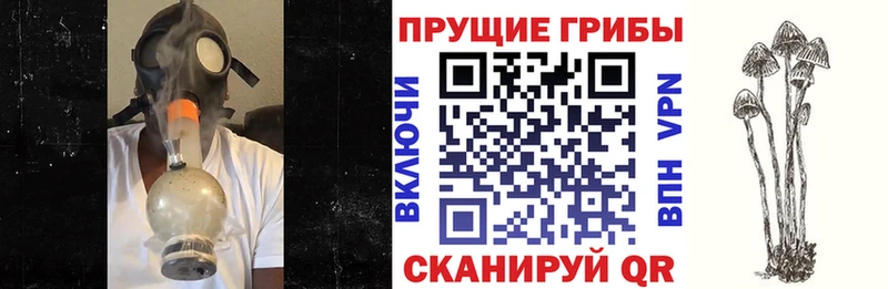 Галлюциногенные грибы MAGIC MUSHROOMS  закладки  ОМГ ОМГ ссылки  Раменское 
